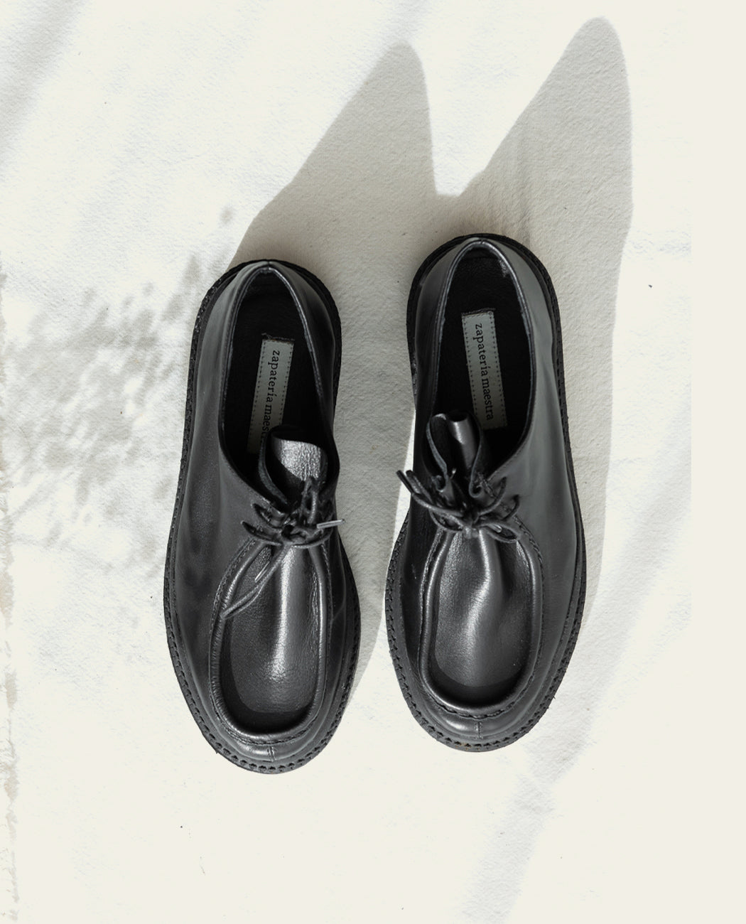Zapato 1879