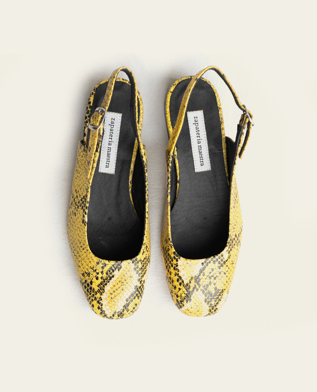 1887 Serpiente Amarillo