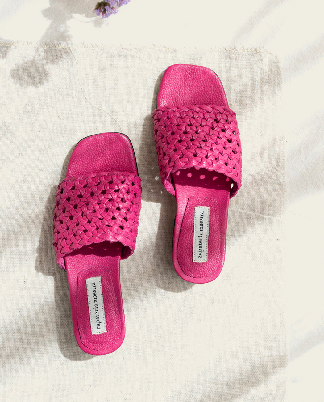 803 Fucsia